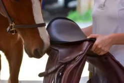 Couvre siège pour selle mixte Dessus De Selles