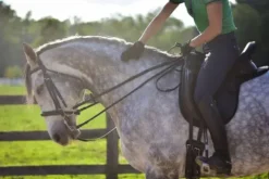 Couvre siège Selle Western Dessus De Selles