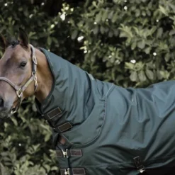 Online Couvre-cou All Weather imperméable pro 150G - Kentucky Couvertures Cheval