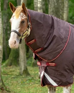Outlet Couvre-cou Amigo Hood - - 1200d imperméable Couvertures Cheval