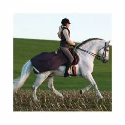 Discount Couvre-reins compétition Sheet Horseware Couvre-Reins