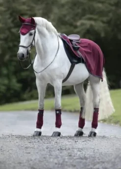 Online Couvre-reins Compétition - - doublure imperméable Couvre-Reins