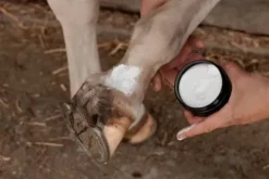 Outlet Crème anti gale de boue Mud Fever Cream - Peau Et Sabots·Gale De Boue