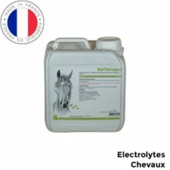 Outlet Distri'Electrolytes L - Electrolytes liquide cheval Forme Et Performances·Electrolyte Cheval