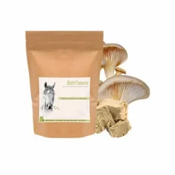 Discount Distri'Levure - Levure de bière cheval Appareil Digestif·Flore Intestinale|Bien-Être Du Cheval·Plantes Pour Chevaux