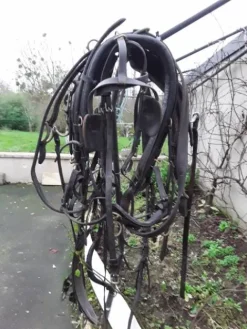 Hot Diverses Calèches et Harnais Harnais D'Attelage|Equipements D'Attelage