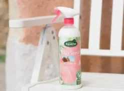 Sale Démêlant Easy Shine - Lustrants Et Démêlants