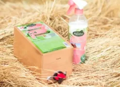 Sale Démêlant Easy Shine - Lustrants Et Démêlants