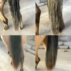 Sale Démêlant Easy Shine - Lustrants Et Démêlants