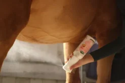 Outlet Démêlant Lustrant Easy Shine Intense - Lustrants Et Démêlants