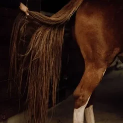 Outlet Démêlant naturel crins - Lustrants Et Démêlants