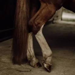 Outlet Démêlant naturel crins - Lustrants Et Démêlants