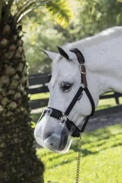 New Doublures rembourrées pour licol - Licols Et Longes