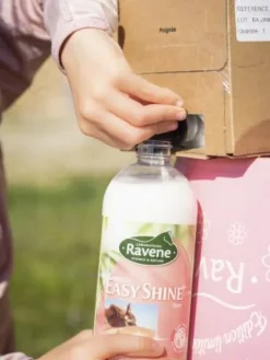 Best Easy shine recharge 3L - Lustrants Et Démêlants