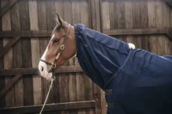 Echarpe polaire - Kentucky Couvertures Cheval