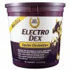 New ELECTRO DEX - Electrolytes Cheval Forme Et Performances·Booster Cheval|Forme Et Performances·Electrolyte Cheval