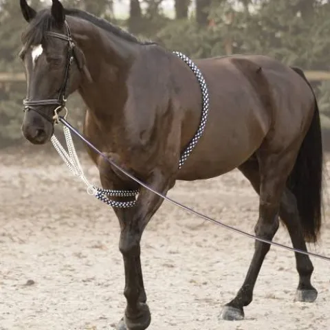 New Enrênement corde - Corde en coton tressé Enrênement Pour Longer