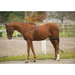 Best Enrênement de longe Pessoa Enrênement Pour Longer