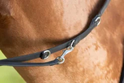 Discount Enrênement Thiedeman training aid Enrênements·Martingale