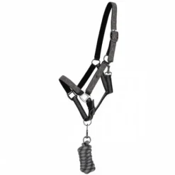 Discount Ensemble licol et longe AW25 - - Rembourré Licols Et Longes