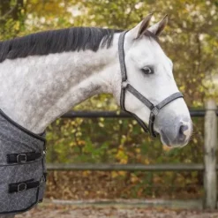 Discount Ensemble licol et longe AW25 - - Rembourré Licols Et Longes