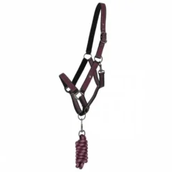 Discount Ensemble licol et longe AW25 - - Rembourré Licols Et Longes