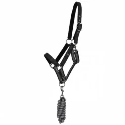 Discount Ensemble licol et longe AW25 - - Rembourré Licols Et Longes