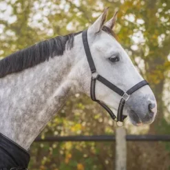 Discount Ensemble licol et longe AW25 - - Rembourré Licols Et Longes