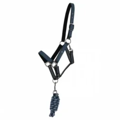 Discount Ensemble licol et longe AW25 - - Rembourré Licols Et Longes