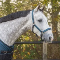 Discount Ensemble licol et longe AW25 - - Rembourré Licols Et Longes