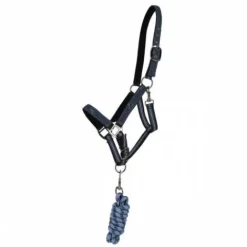 Discount Ensemble licol et longe AW25 - - Rembourré Licols Et Longes