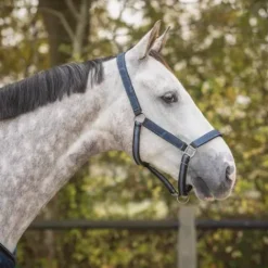 Discount Ensemble licol et longe AW25 - - Rembourré Licols Et Longes