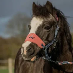 Discount Ensemble licol et longe Jollycorn - Licols Et Longes