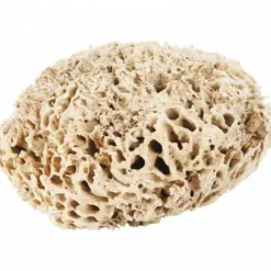 Outlet Eponge naturelle de pansage zones sensibles Éponges De Pansage