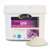 Discount EQUILYTE - Electrolyte cheval Forme Et Performances·Electrolyte Cheval