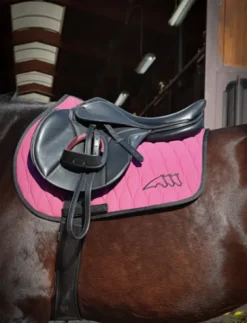 New Etriers X-Cel avec système de sécurité - Etriers Et Accessoires