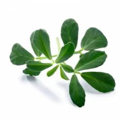 Sale Fenugrec - Appareil Digestif·Prise De Poids|Bien-Être Du Cheval·Plantes Pour Chevaux