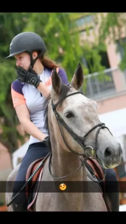 Hot Filet Bridons Et Brides·Bridon Cuir