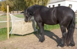 Sale Filet à foin Haynet - Matériel Pour L'Alimentation·Filets à Foin