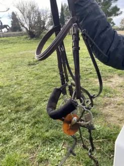 Best Filet Bel Ami, de Alain Ventre Bridons Et Brides·Bridon Cuir