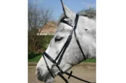 Sale Filet en cuir muserolle combinée gamme Epsilon Bridons Et Brides·Bridon Licol|Bridons Et Brides·Bridon Cuir