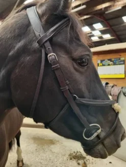 Best Filet jump'in Bridons Et Brides·Bridon Cuir