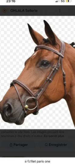 Hot Filet jump’in Bridons Et Brides·Bridon Cuir