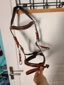 Clearance Filet marron Bridons Et Brides·Bridon Cuir