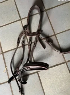 Best Filet Pénélope Leprevost Bridons Et Brides·Bridon Anatomique|Bridons Et Brides·Bridon Cuir