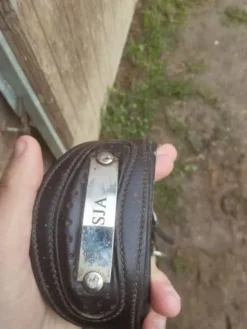 Hot Filet taille L Bridons Et Brides·Bridon Cuir