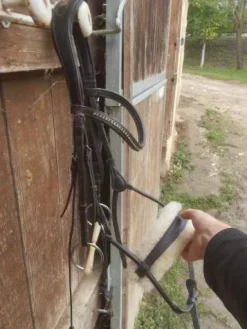 Hot Filet taille L Bridons Et Brides·Bridon Cuir