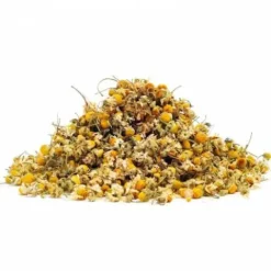 Fleurs de camomille - Bien-Être Du Cheval·Plantes Pour Chevaux