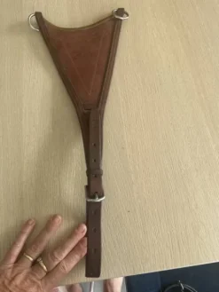 Online Fourche martingale, Cwd Enrênements·Martingale