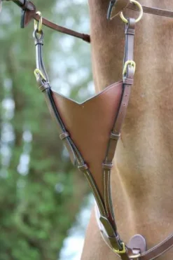 Online Fourchette de martingale pleine Dy'on collection Enrênements·Martingale